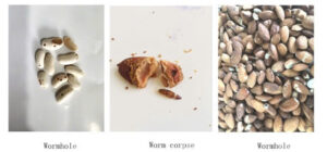 z6619755054010 ddc67249bdab1bae23434782310e3f2f