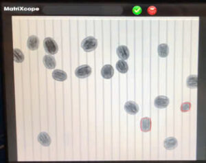 z6619755072172 056d24e5a3be974580a031f19f8afc47 1