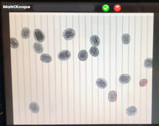 z6619755072172 056d24e5a3be974580a031f19f8afc47